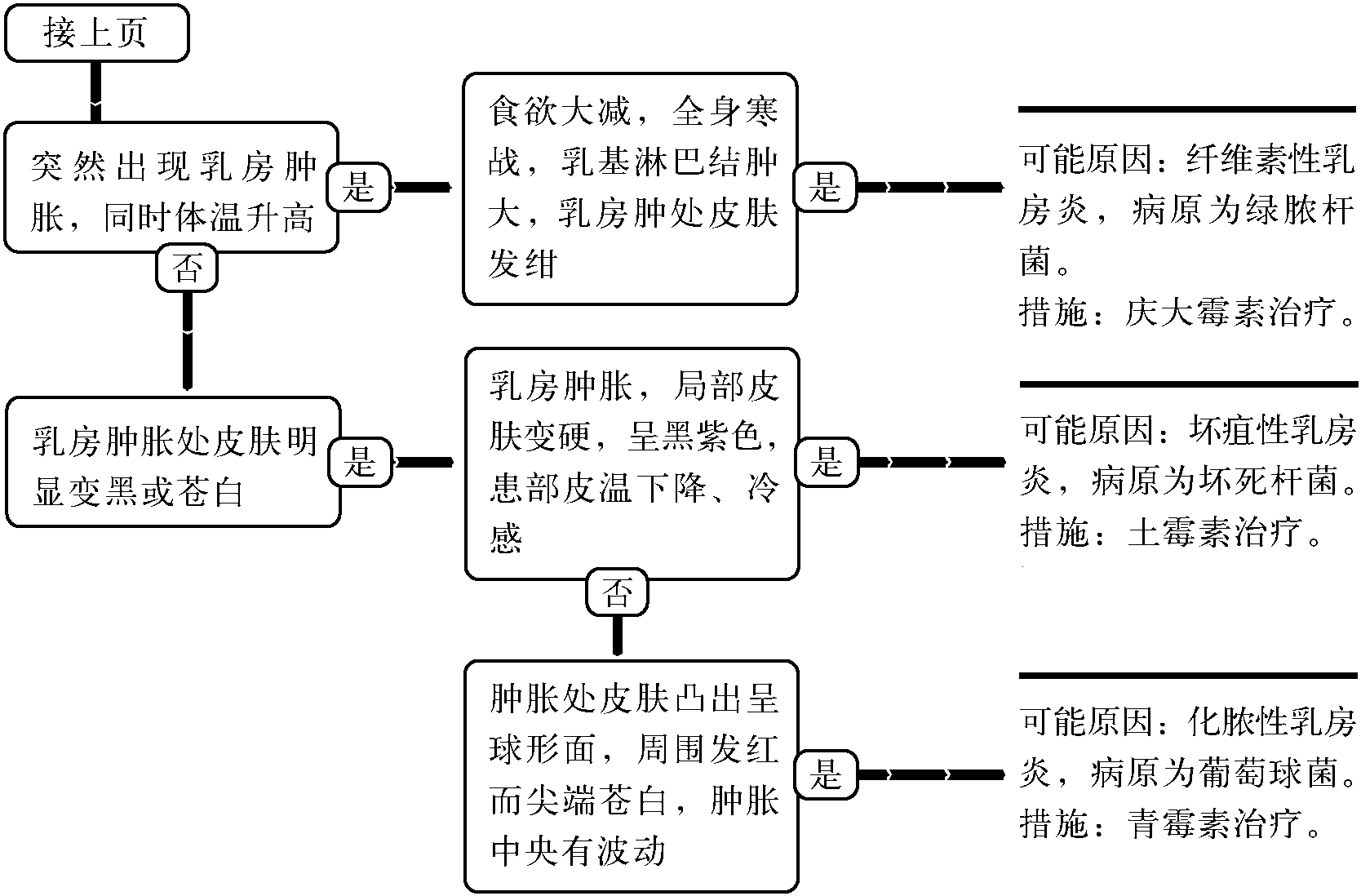 3.乳房檢查